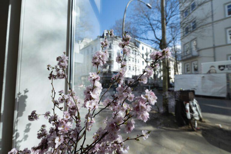 8-Zimmer-Nestperle. Beste Schanze.