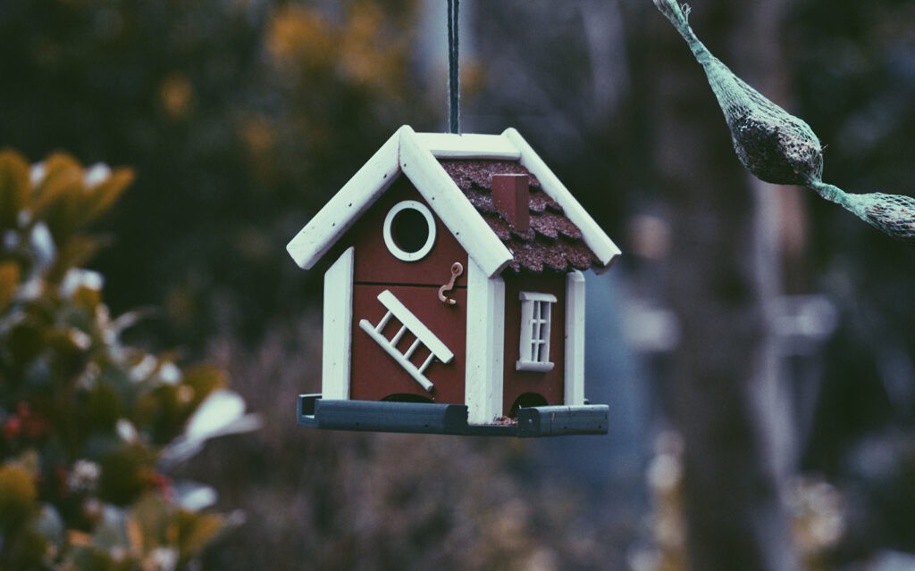 ALT Die FAQs für die neue Courtage-Regel ALT Die FAQs für die neue Courtage-Regel