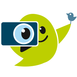 Nest-Angebote Nest-Angebote